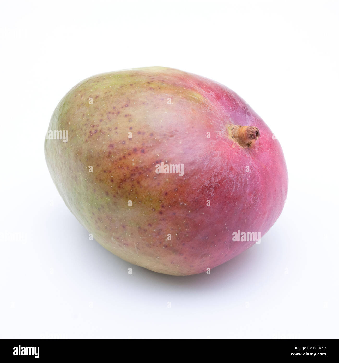 Mango-Frucht auf weißen Hintergrund isoliert. Stockfoto