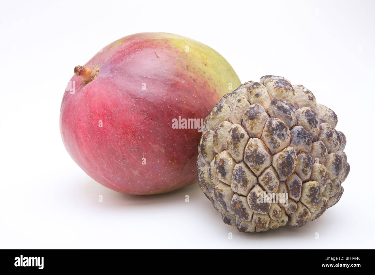 Gemischte exotischen Früchten, Mango und Zucker Apfel auf weißen Hintergrund isoliert. Stockfoto