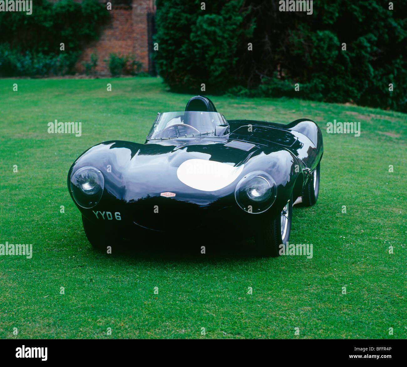 Jaguar D-Type 1955 Stockfoto