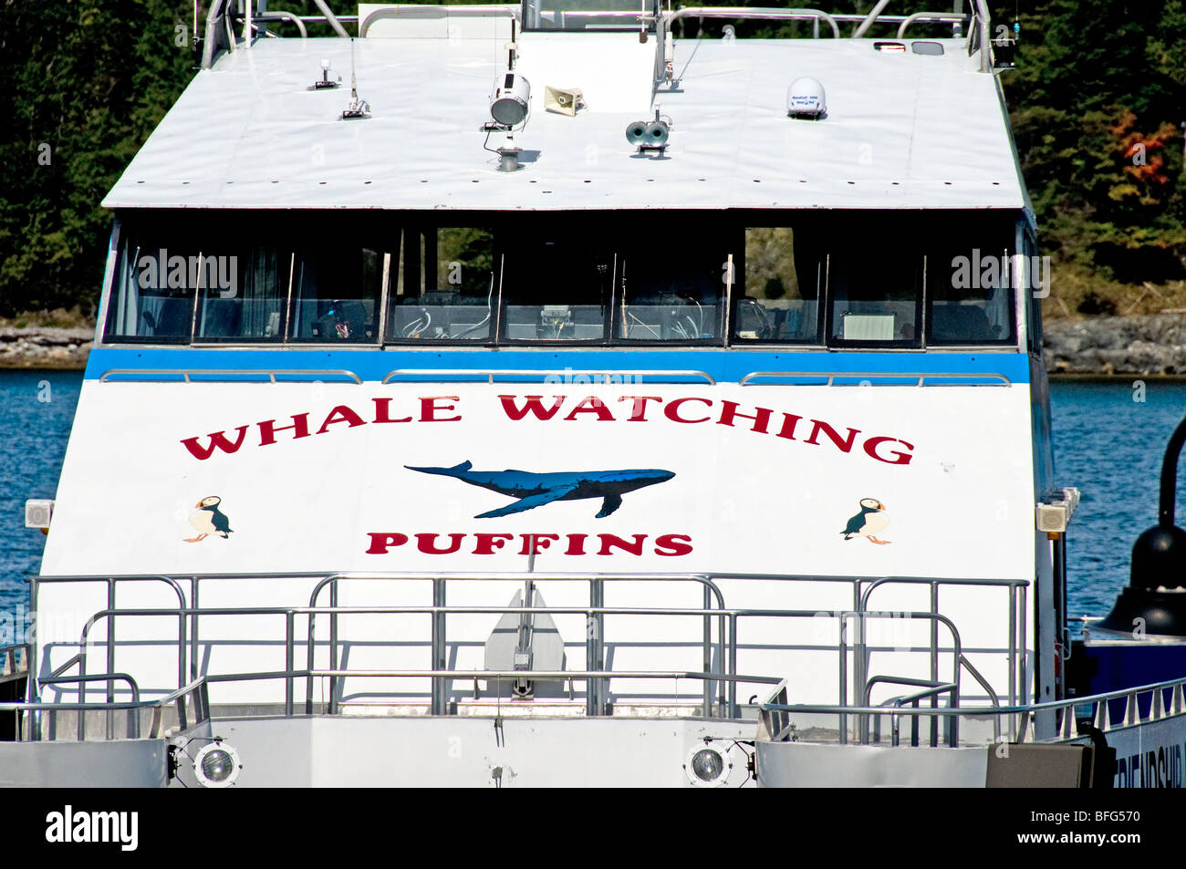 Ein Boot wartet auf Fahrgäste für eine Wal- und Papageientaucher-watching-Tour in Frenchman es Bay, Bar Harbor, Maine, USA Stockfoto