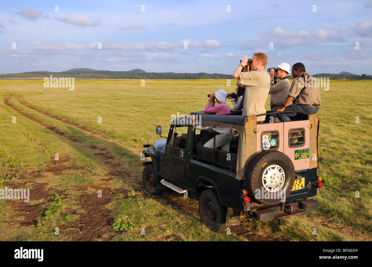 Minneriya National Wildlife Park, Sri Lanka, Safari im Minneriya National Wildlife Park, Sri Lanka Stockfoto