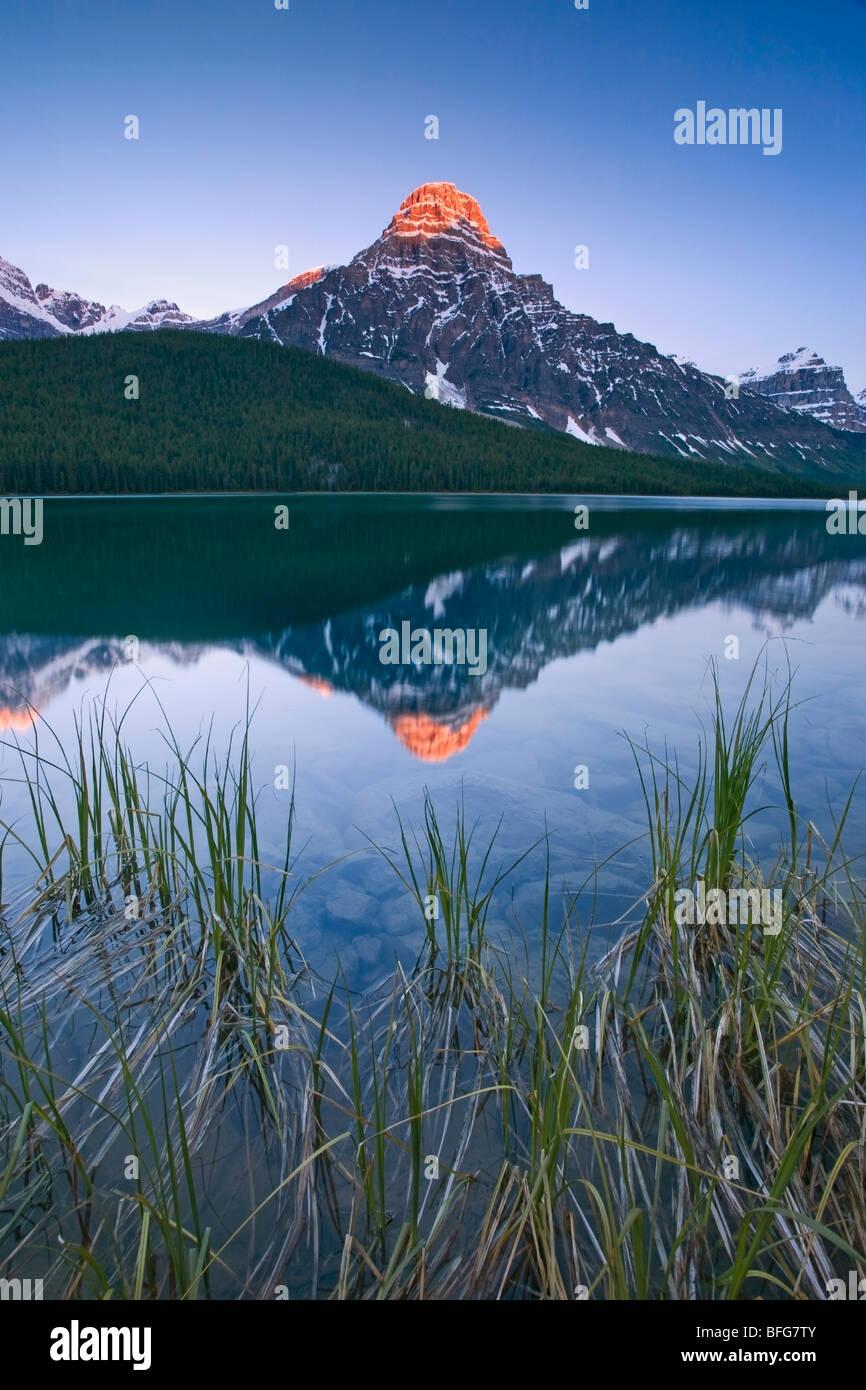 Mount Chephren spiegelt sich im Wasser Fowl Lake entlang des Icefields Parkway im Banff Nationalpark, Alberta, Kanada Stockfoto