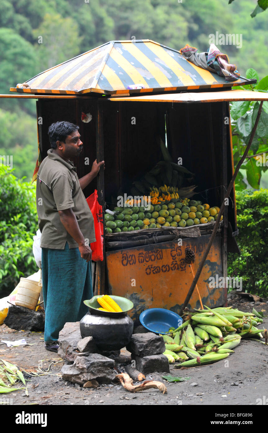 Obst Stall, Sri Lanka, am Straßenrand Marktstand verkaufen frisches Obst, Sri Lanka Stockfoto