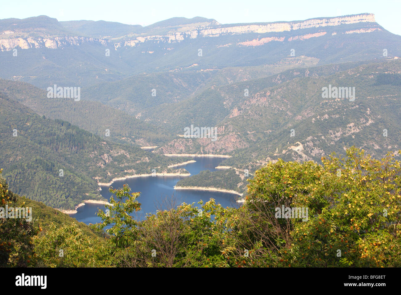 Panta de susqueda Fotos und Bildmaterial in hoher Auflösung Alamy