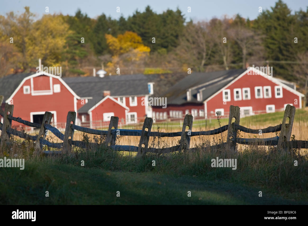 Roten Scheunen im Knox Farm State Park in East Aurora, New York Stockfoto