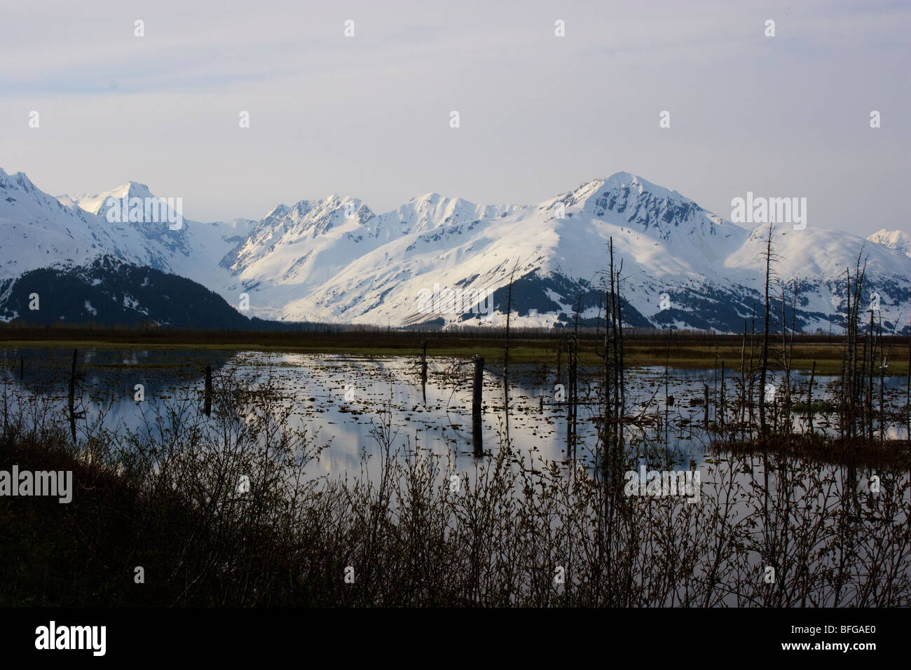 Yukon Feuchtgebiete auf dem ALCAN Highway nördlich von Whitehorse Alaska.  Dies ist Frühjahr und der Schnee auf den Bergen Stockfoto