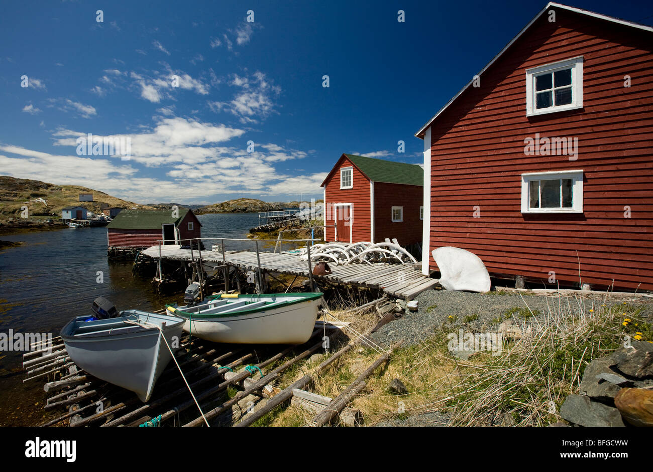 Angelboote/Fischerboote und Schuppen, Änderung Inseln, Neufundland & Labrador, Kanada Stockfoto