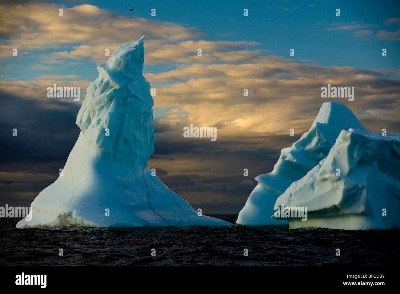 Eisberge vor der Küste von Fogo Island, Neufundland & Labrador, Kanada Stockfoto