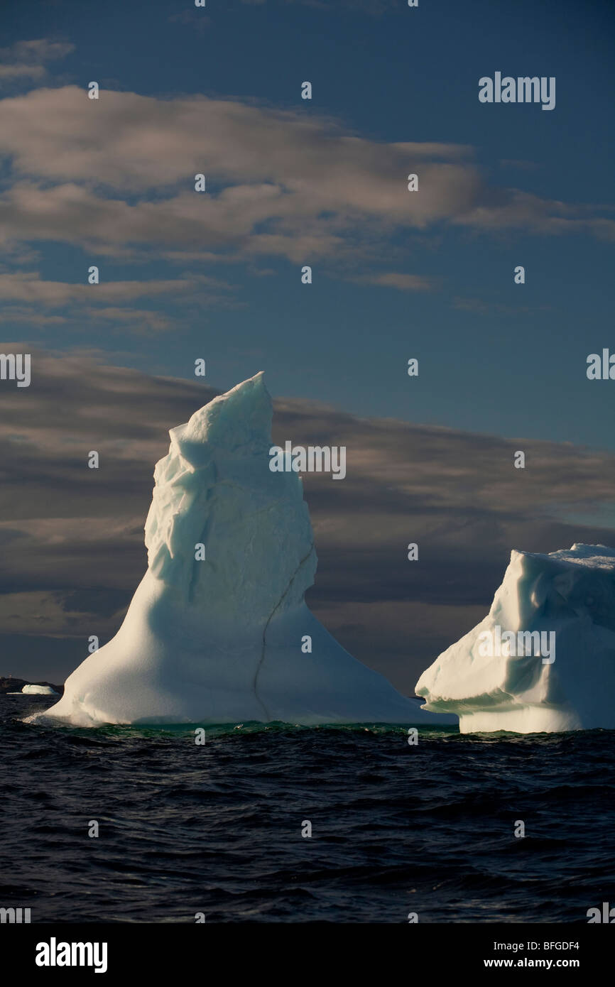 Eisberge vor der Küste von Fogo Island, Neufundland & Labrador, Kanada Stockfoto