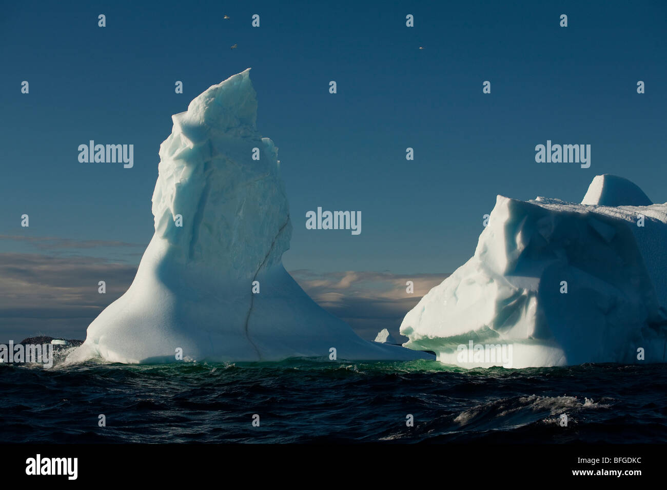 Eisberge vor der Küste von Fogo Island, Neufundland & Labrador, Kanada Stockfoto