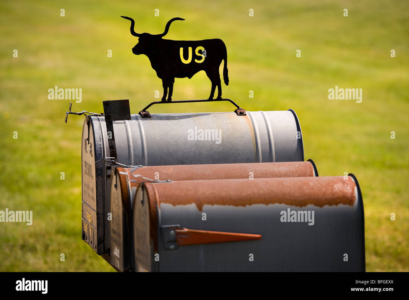 Amerikanischen US-Briefkasten eingerichtet mit Rindern Silhouette in Nebraska USA Stockfoto