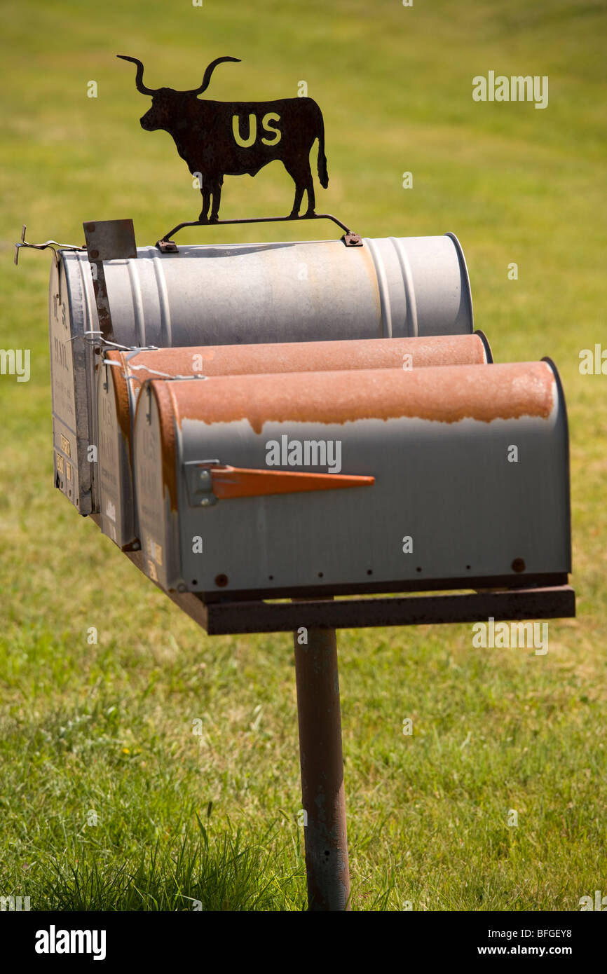 Amerikanischen US-Briefkasten eingerichtet mit Rindern Silhouette in Nebraska USA Stockfoto