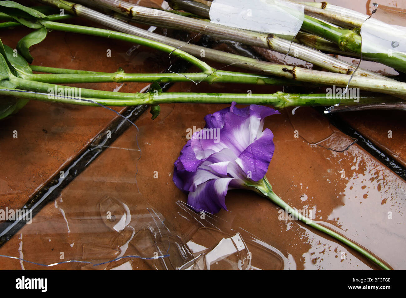 Vase mit Blumen liegen auf einem gefliesten Boden gebrochen Stockfoto