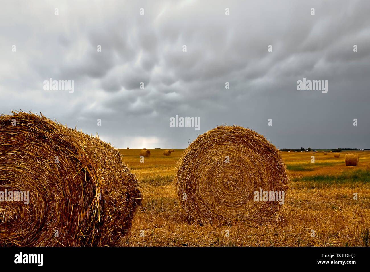 Heu-Kautionen und Mammatus Wolke Formationen. St. Leon, Manitoba, Kanada. Stockfoto