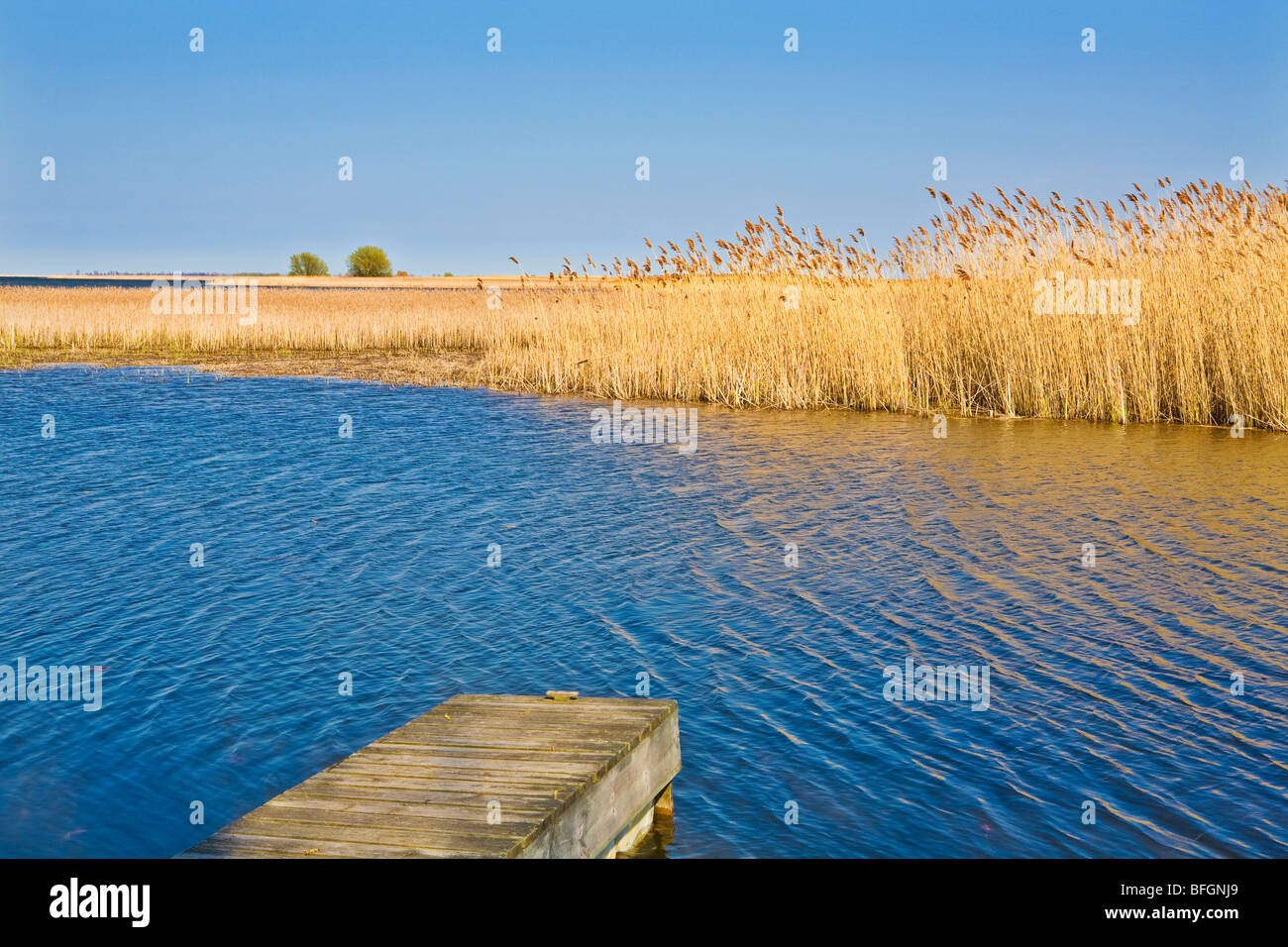 Lake Erie, Longpoint Provincial Park, Ontario, Kanada Stockfoto