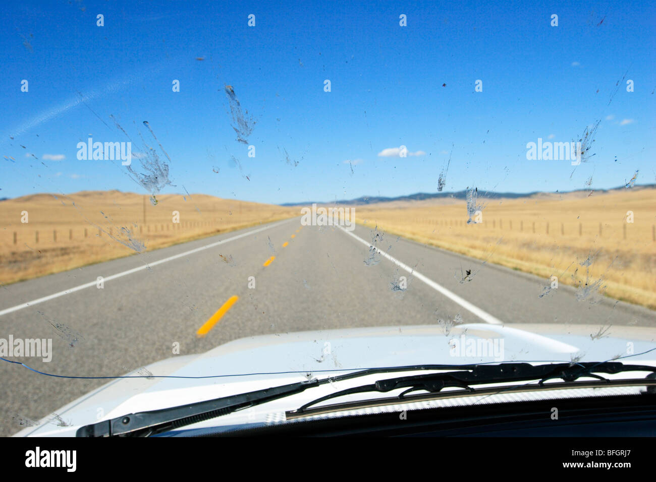 Fehler-Splatter auf Fahrzeug-Windschutzscheibe auf Autobahn 22, in der Nähe von Pincher Creek, Alberta, Kanada. Stockfoto