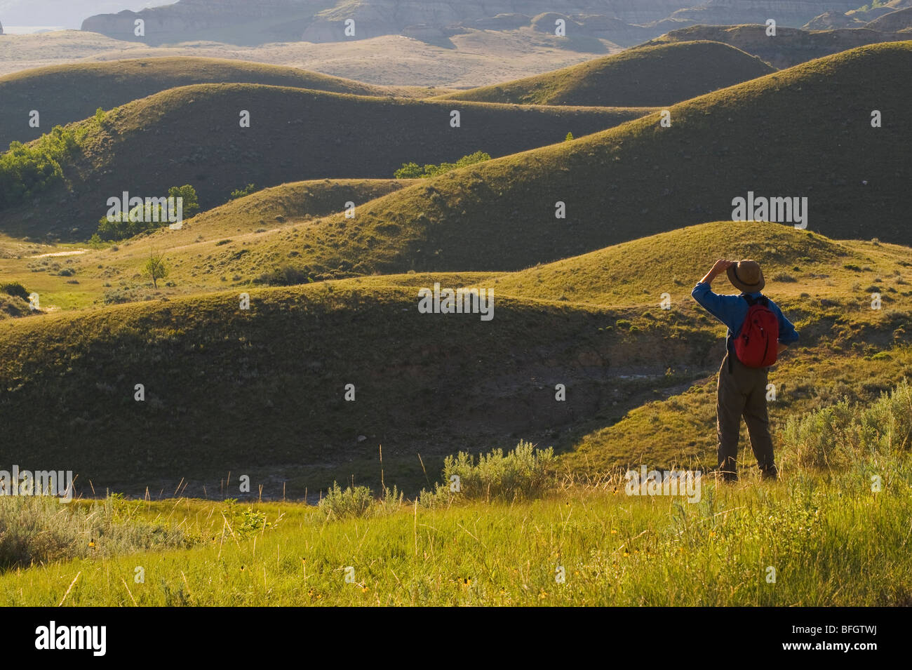 Ein Wanderer einen Blick auf Landschaft, Big Muddy Badlands, Saskatchewan, Kanada Stockfoto