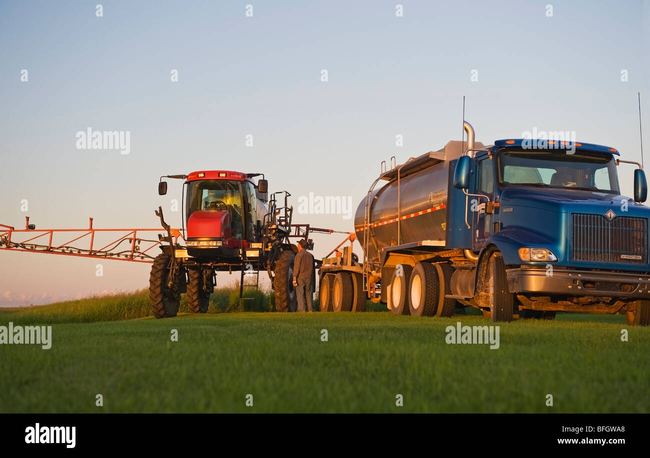 Traktor füllt sich Panzer aus Dünger Lkw weiter zu beschneiden Stockfoto