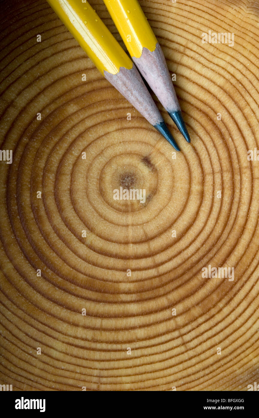 Baum-Jahresringe für ein Balsam-Tanne (Abies Balsamea), Ontario, Kanada Stockfoto