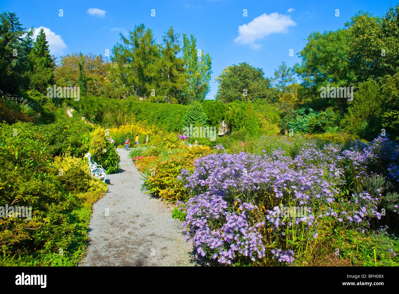 Ruzovy Sady Rose Garden auf Petrin Hügel Prag Tschechische Republik Europa Stockfoto