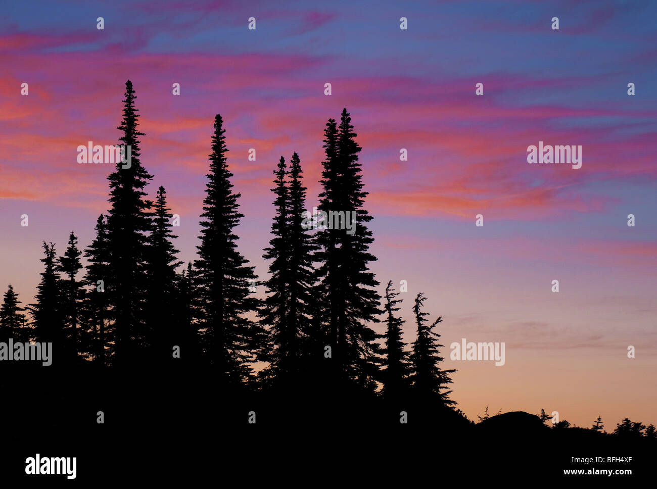 Sonnenuntergang Himmel und Tanne Bäume am Mittag-See im sieben-Seen-Becken, Olympic Nationalpark, Washington. Stockfoto