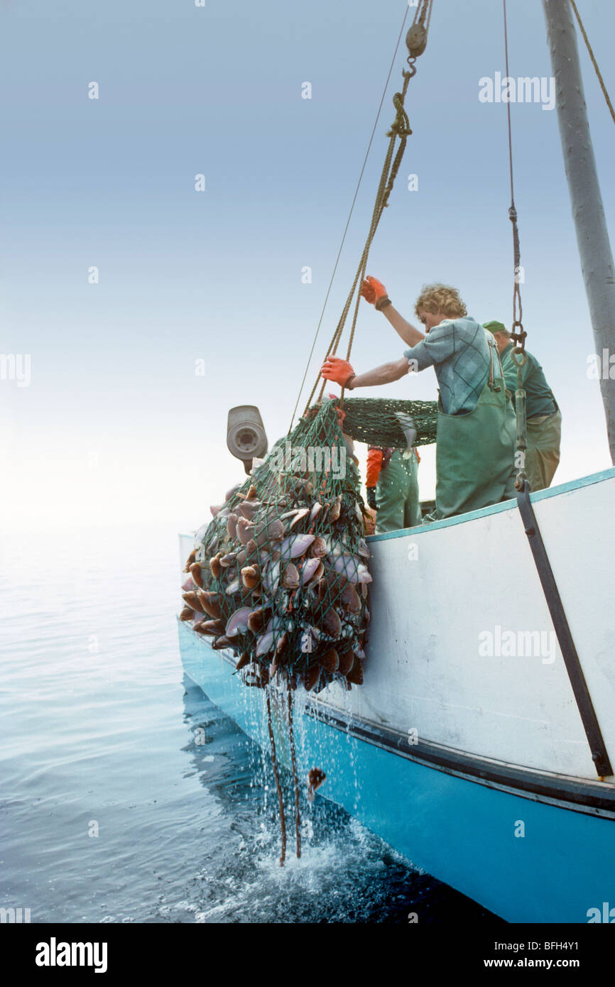 Kommerzielle Fischerei, Northumberland Strait, Prince Edward Island, Canada Stockfoto