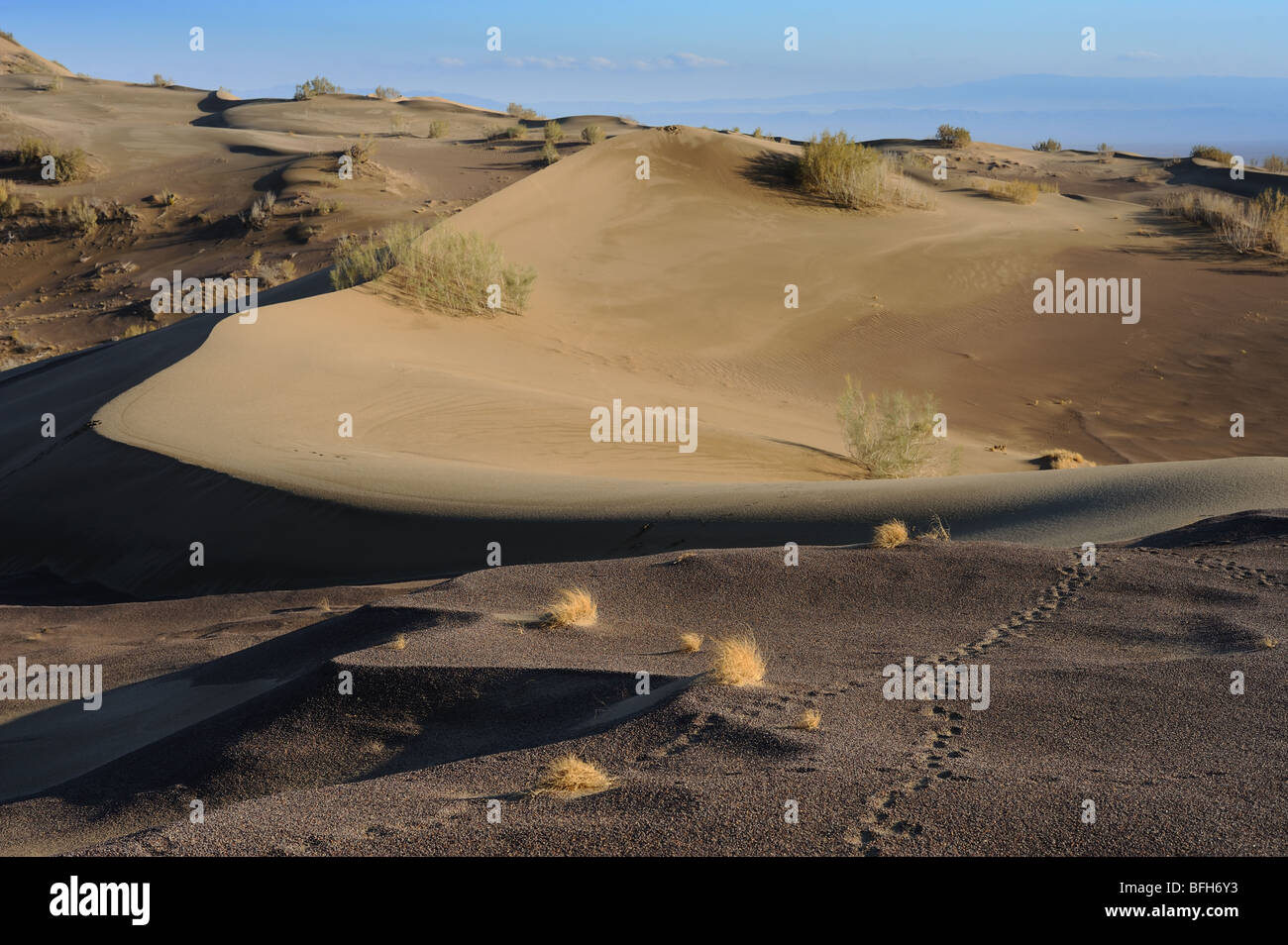 Sand-Wüste im Altyn-Emel-Nationalpark, Südkasachstan, Zentralasien. Spur der Wüstentiere. Stockfoto