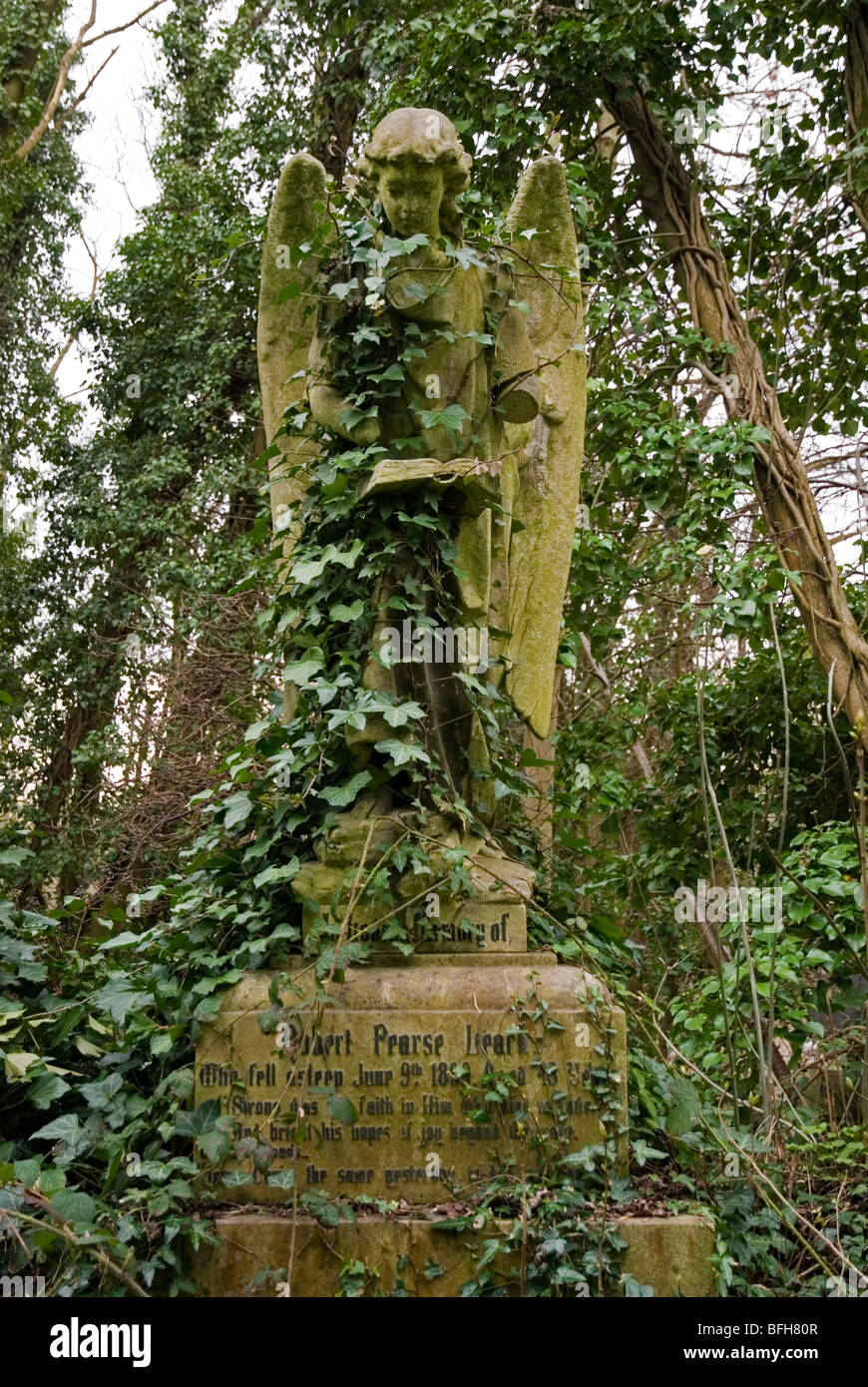 Engel Statur bedeckt mit Efeu, Highgate Cemetery London England UK Stockfoto