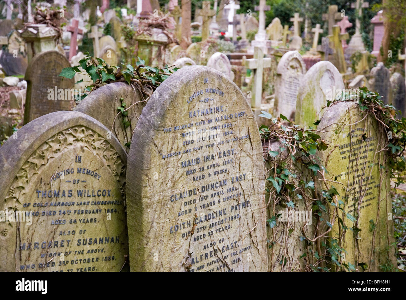 Grabsteine auf Highgate Cemetery in London England UK Stockfoto