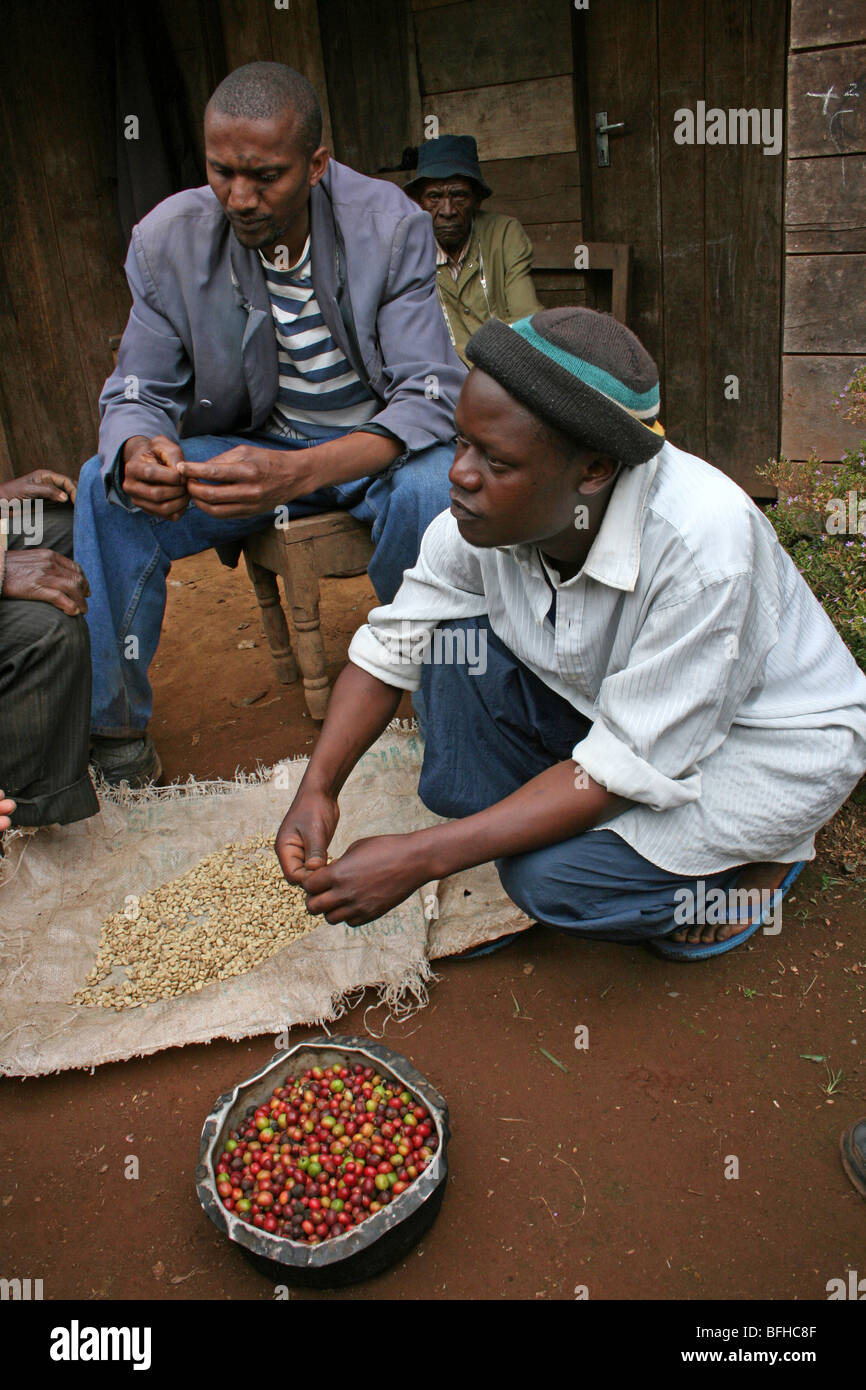 Chagga Stamm Männer Nkuu Ndoo Dorfes diskutieren Kaffeeproduktion, Ausläufern des Kilimanjaro, Tansania Stockfoto