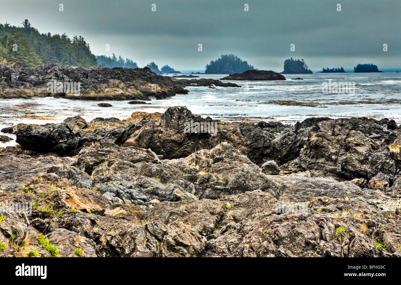 Wild Pacific Trail, Vancouver Island, British Columbia, Kanada Stockfoto