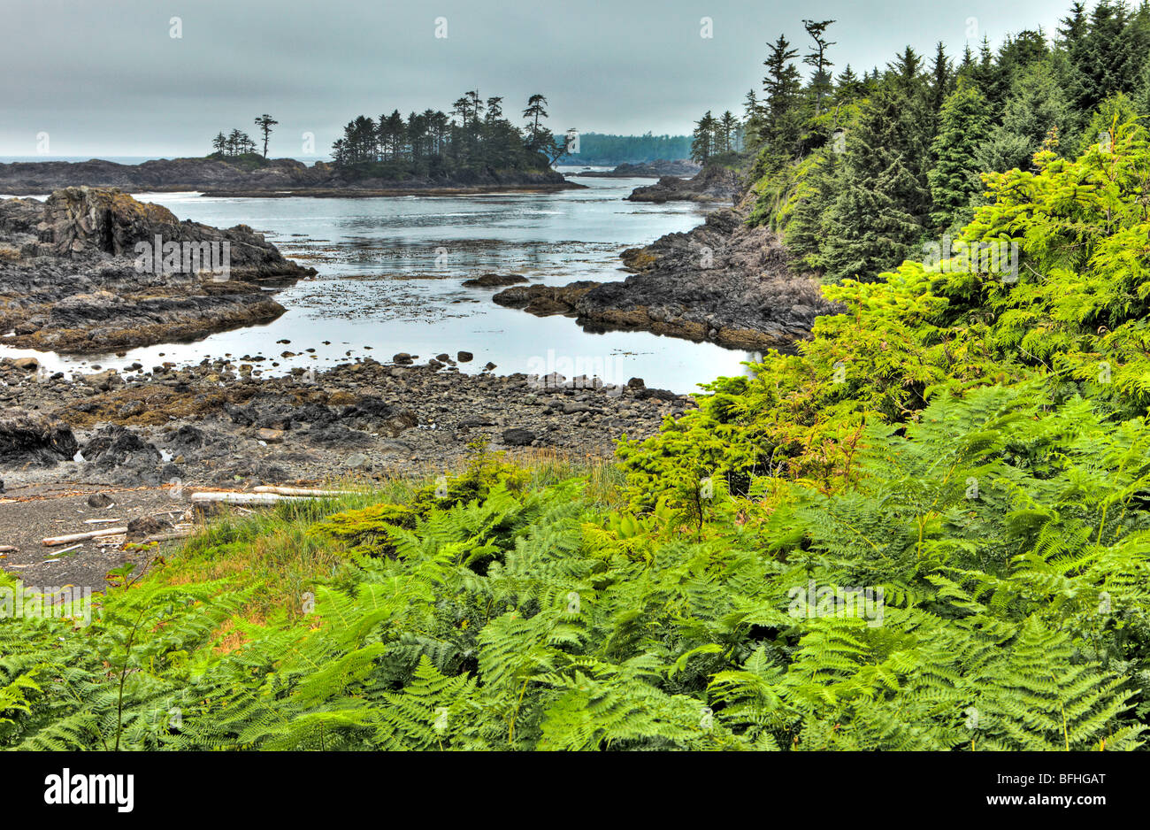 Wild Pacific Trail, Vancouver Island, British Columbia, Kanada Stockfoto