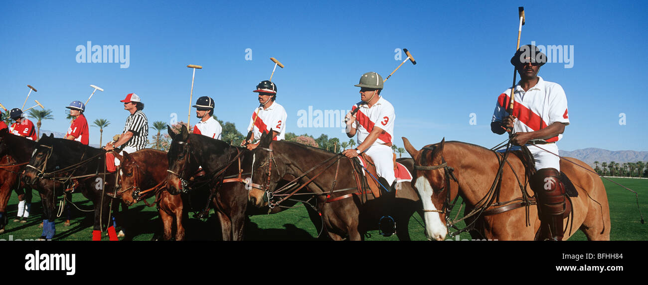 Polo-Team auf dem Pferderücken in Feld Stockfoto