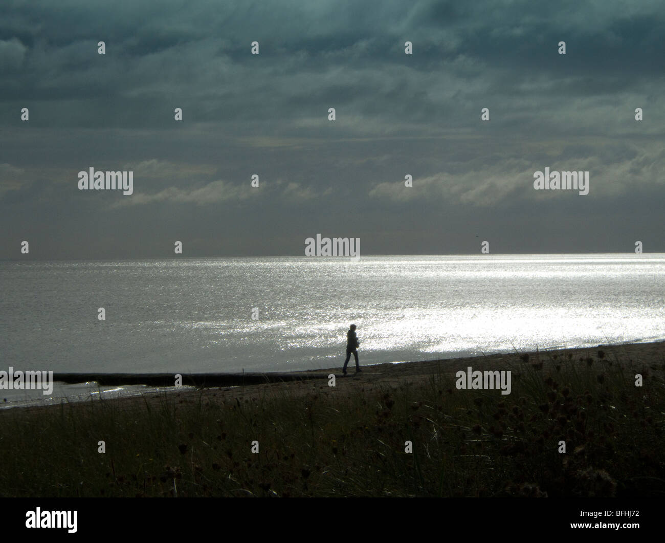 Ein einsamer Wanderer an einem Herbst-Nachmittag auf Schären Beach, North County Dublin, Irland Stockfoto