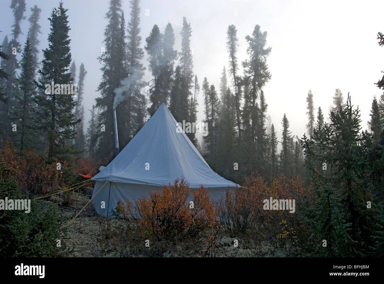 Camping-Zelt in der Mitte der Wald eingerichtet. Nebligen Morgen und der Rauch aus Ofen Kamin im Inneren Zelt. Yukon-Territorium Stockfoto