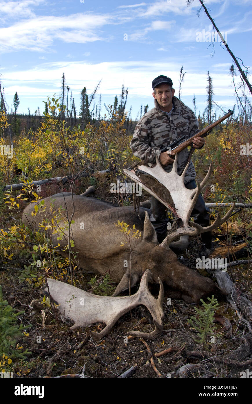 Hunter stehend nahe bei kürzlich getöteten Elchbullen. Yukon Territorium, Kanada. -Modell veröffentlicht. Stockfoto