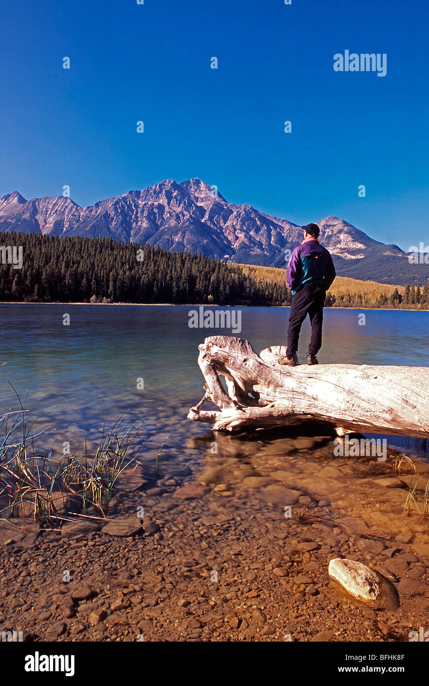 Wanderer auf Log mit Blick auf Patricia Lake und Pyramid Mountain, Jasper Nationalpark, Alberta, Kanada Stockfoto