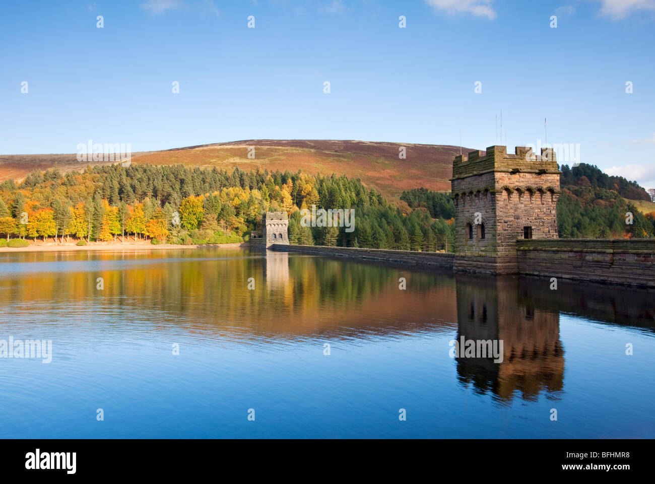 Derwent Valley Raspberry Where Is Derwent Valley – Derwent Valley Blinds – EIYUB