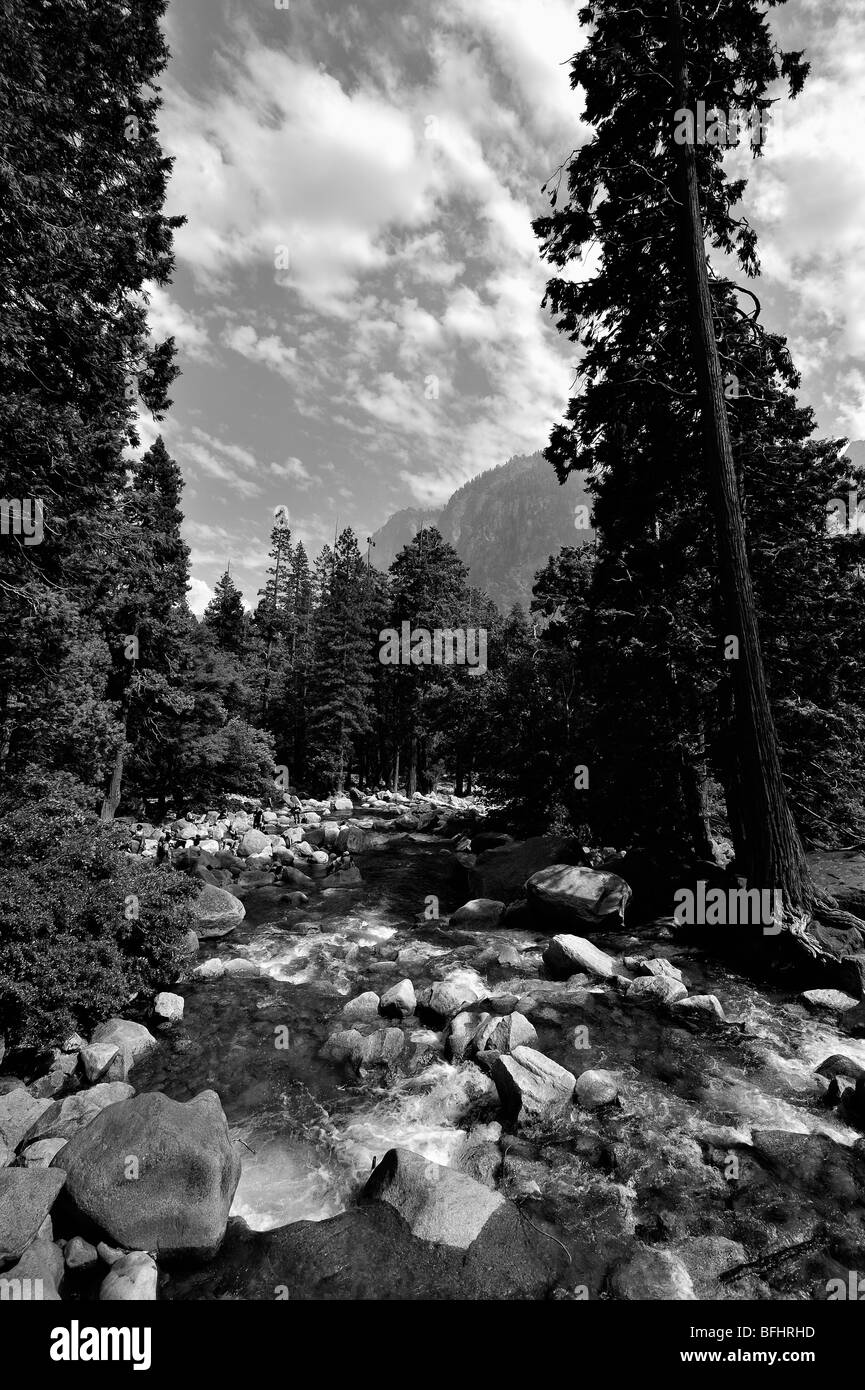 Bach im Yosemite Nationalpark, Kalifornien, USA Stockfoto