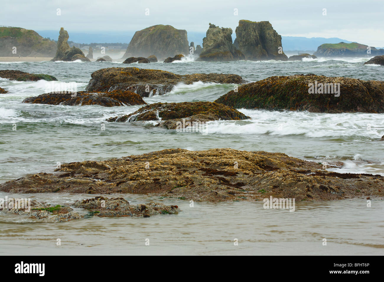 Der Oregon Küste besteht aus Seastacks und rauhen Strömungen entlang Samuel Boardman State Park, Oregon. Stockfoto