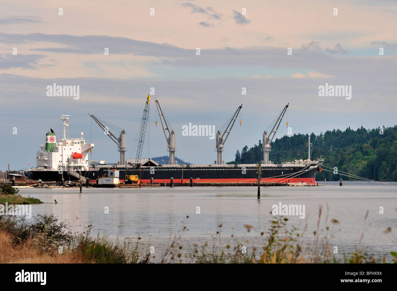 Frachter, liefert "Indogo Ozean" Laden während am Liegeplatz in Cowichan Bay, BC. Stockfoto