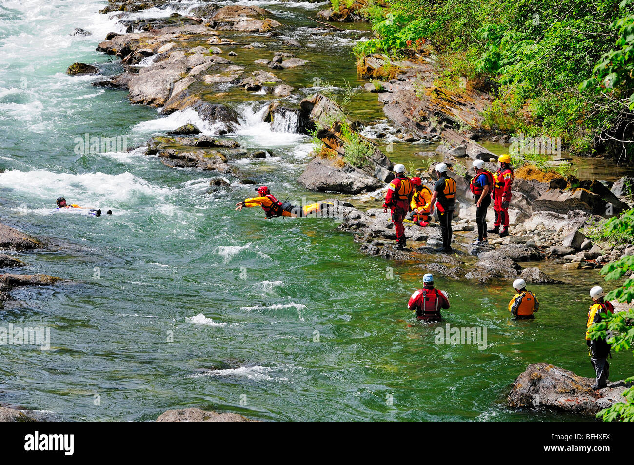 Ein Such- und Teamtraining im Cowichan River in der Nähe von Skutz fällt in der Nähe von Lake Cowichan, BC. Stockfoto
