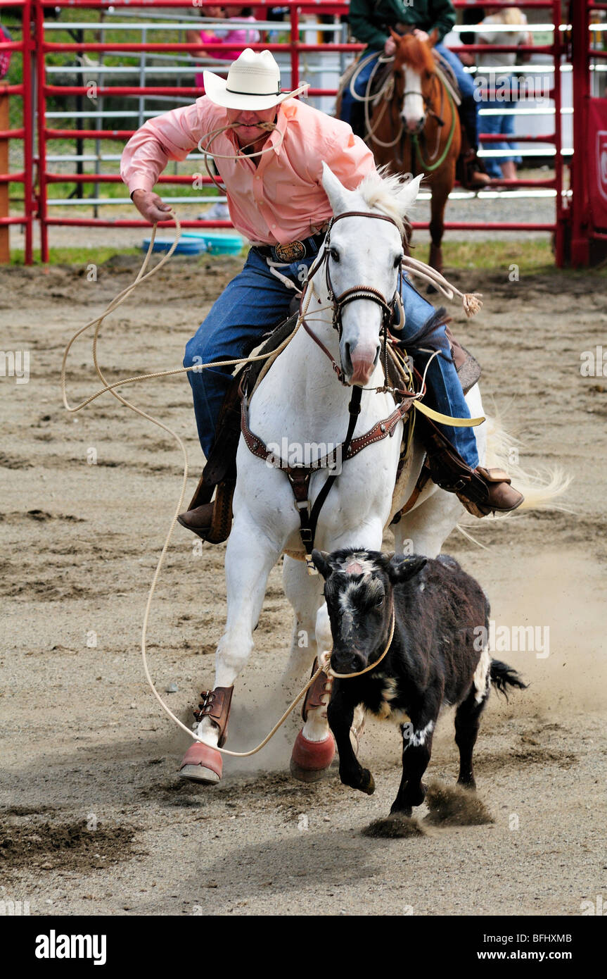 Cowboy-Kalb roping im Luxton Pro Rodeo in Victoria, BC. Stockfoto