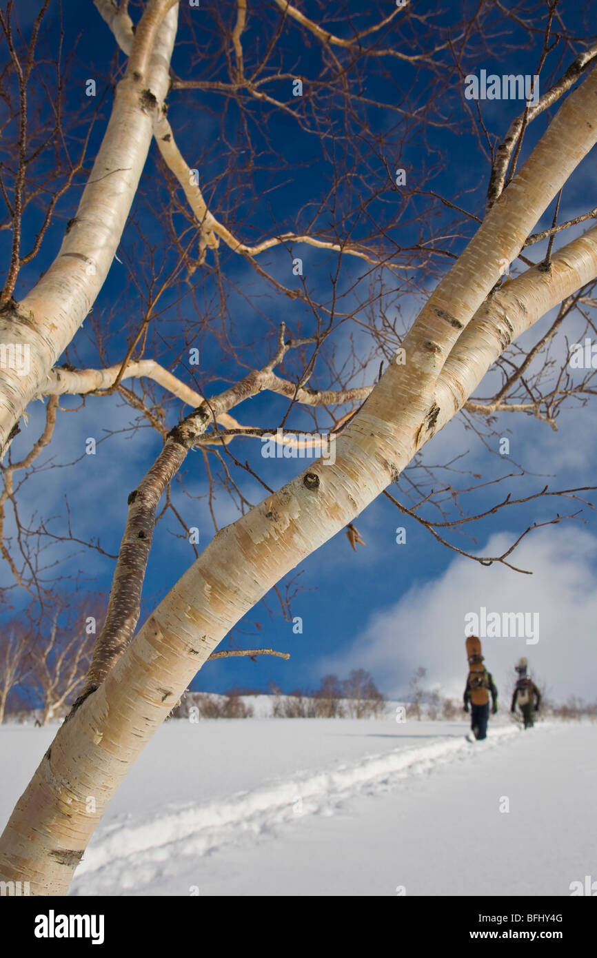 Snowboarder Wandern im Hinterland, Niseko, Japan Stockfoto