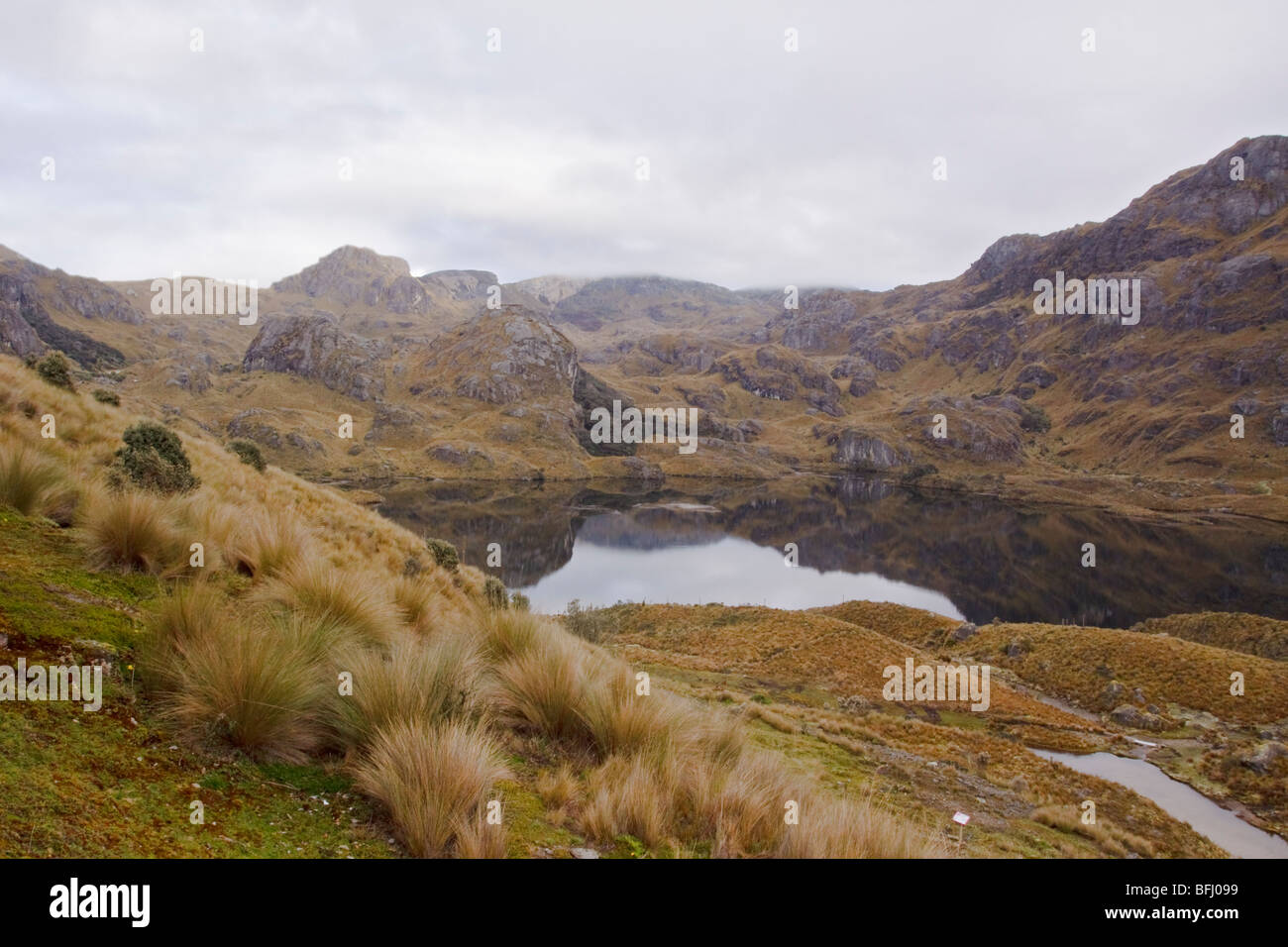 Eine malerische Aussicht von Cajas Nationalpark in der Nähe von Cuenca, Ecuador. Stockfoto