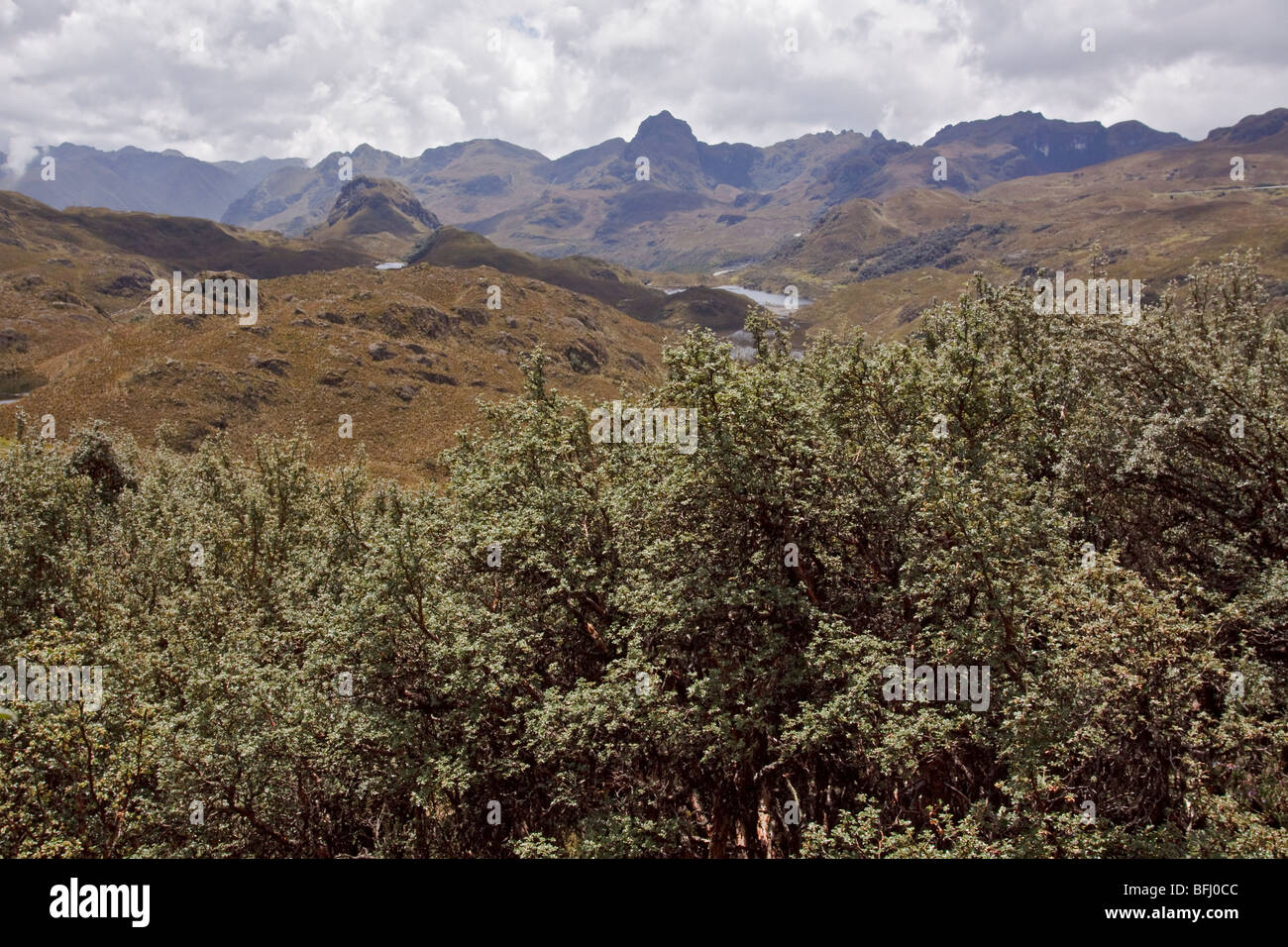 Eine malerische Aussicht von Cajas Nationalpark in der Nähe von Cuenca, Ecuador. Stockfoto