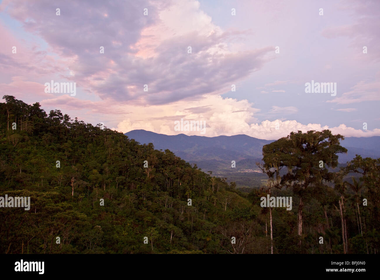 Ein Blick auf den Regenwald im Podocarpus Nationalpark im Südosten Ecuadors. Stockfoto