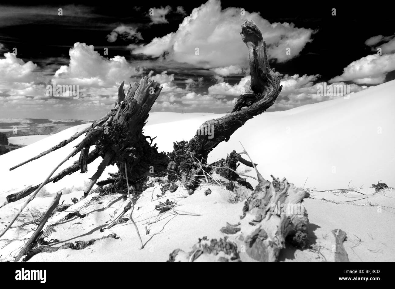 Ansichten und Aussichten der Wüste in Jordanien Stockfoto