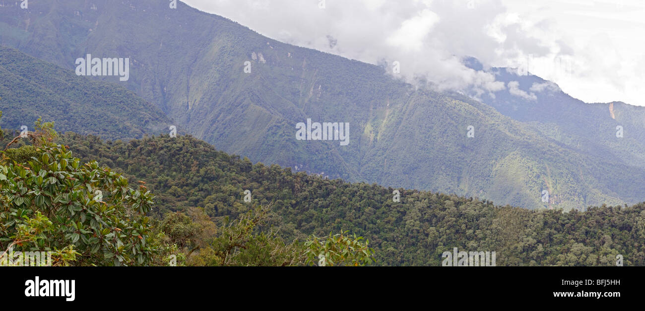 Aussicht von der Yanacocha reservieren in der Nähe von Quito, Ecuador. Stockfoto