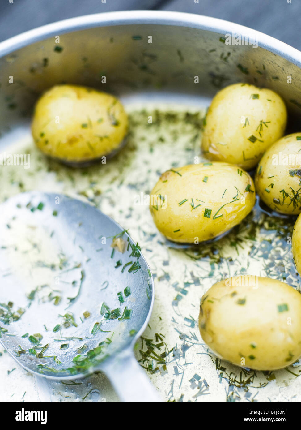 Kartoffeln und Dill, close-up, Schweden. Stockfoto